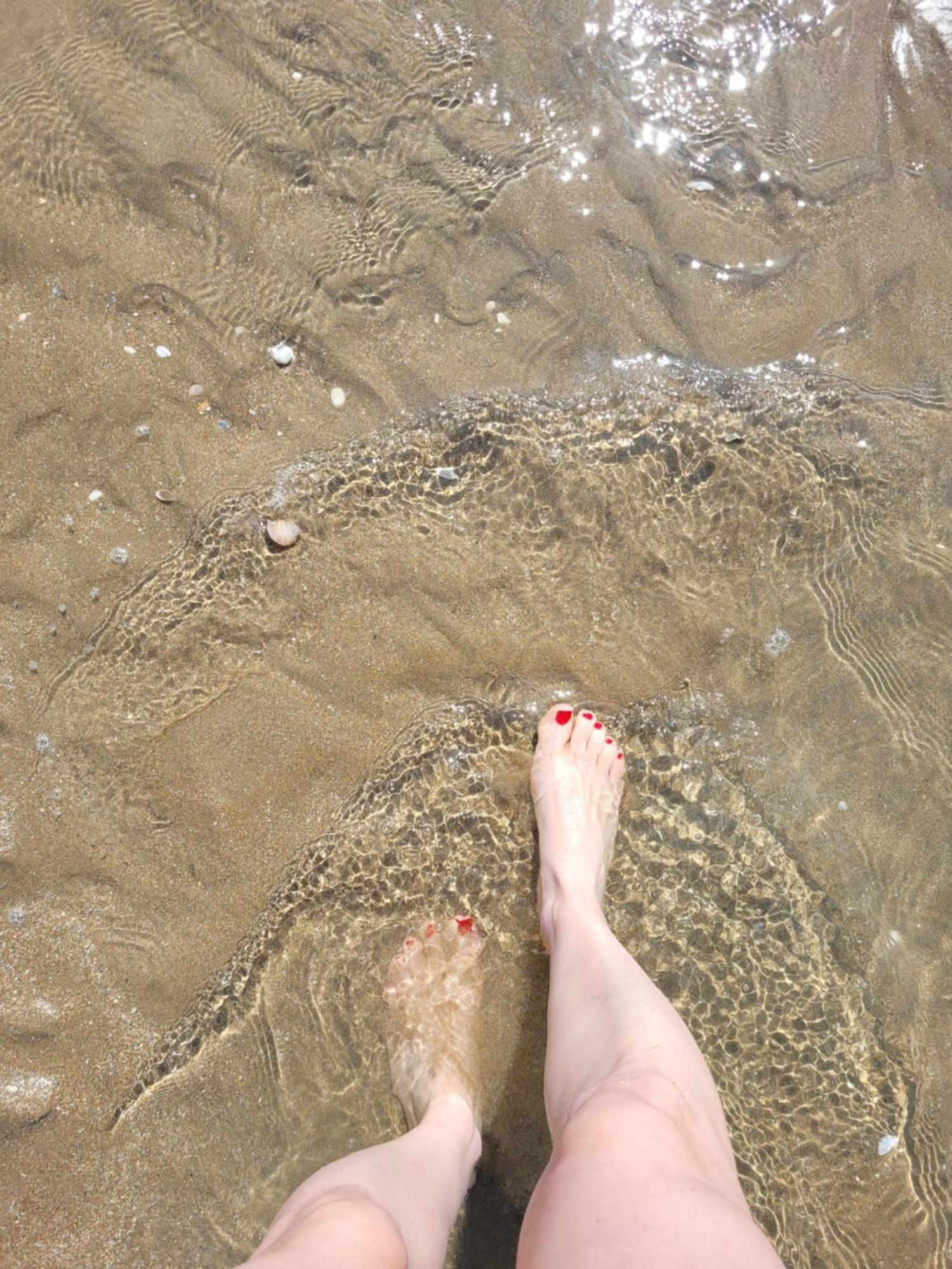 M2m Magnifique Vue - Avec Balcon - Les Pieds Dans L Eau! Apartment Blonville-sur-Mer